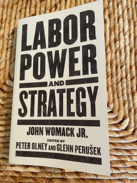 DOES U.S. LABOR NEED A NEW STRATEGY? A REVIEW OF ‘LABOR POWER AND STRATEGY”